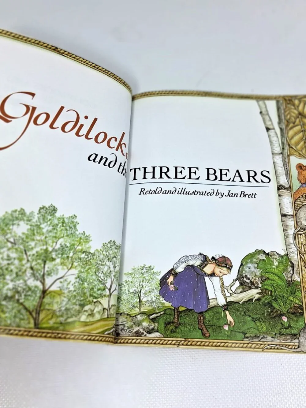 Goldilocks and the Three Bears by Jan Brett, Children's Book